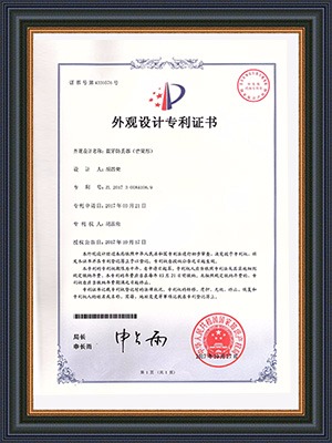 Mango Appearance Patent Certificate